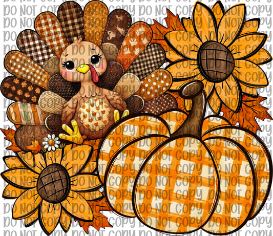 Turkey & Pumpkin